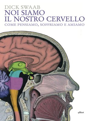 cover image of Noi siamo il nostro cervello